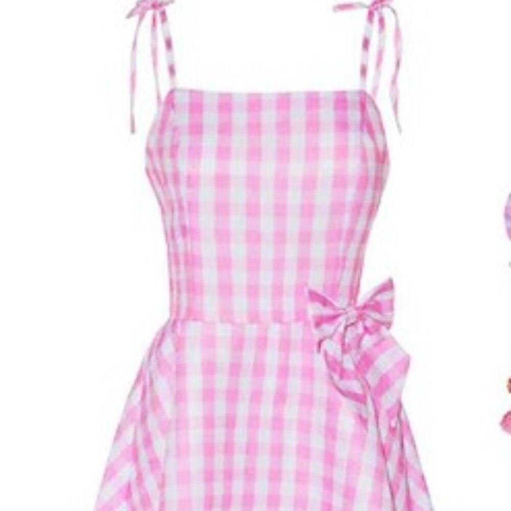 Barbie Pretty Picnic Dress Costume for Adult